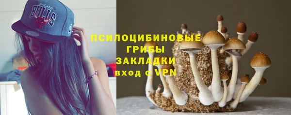 мяу мяу мука Кодинск