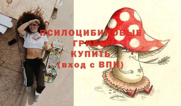 мяу мяу мука Кодинск