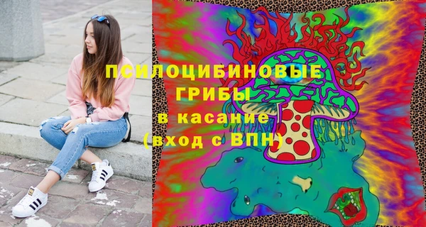 герыч Козельск