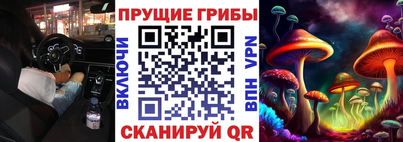 Купить закладки  Звенигово  Галлюциногенные грибы Psilocybine cubensis 